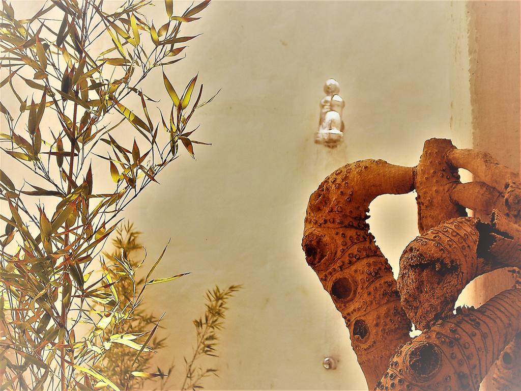 Hostal Palohe Taganga Dış mekan fotoğraf